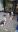 IMG-20200111-WA0003.jpg