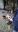 IMG-20200111-WA0013.jpg