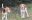 IMG-20231128-WA0005.jpg