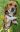 Screenshot_20230327-214532_Gallery.jpg