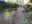 IMG_20200425_193357.jpg