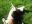 IMG_20200624_180411.jpg