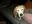 IMG_20200829_213503.jpg