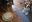 IMG_20201102_154549.jpg