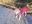 IMG_20201120_082537.jpg