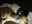IMG_20201213_203215.jpg