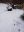 IMG_20210117_103556.jpg