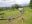 IMG_20210526_174745.jpg