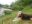 IMG_20210620_143752.jpg