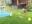 IMG_20210804_164147.jpg