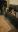 thumbnail.jpg