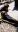 IMG-20200505-WA0005.jpeg