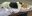 CED76451-ED72-44C5-A612-F3112A977A43.jpeg