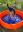 AmyPool31.07.20201.jpg
