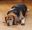 Powernapping17.06.2020.jpg