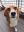 345217137_1283686032272107_4615743720117868875_n.jpg