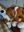 Beagletrio.jpg