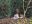 BetyundDiane15.12.2012200.JPG