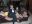 BetyundDiane15.12.2012243.JPG