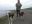 NorddeichOkt.2013122.JPG