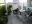 P1010017.JPG