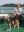 Walchsee-Juli2013133.JPG