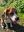 E95AEAF5-8A16-4F98-9419-ABB60D6B0855.jpeg