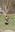 20220329_122956.jpg