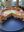 IMG_3131.jpeg