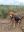 IMG-20220610-WA0008.jpg