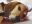 16CCAA3C-AE25-4778-97DA-D81D5AF3B914.jpeg