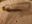 IMG20221201090730_BURST000_COVER.jpg