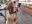 Buddy1.jpg