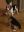 IMG-20230204-WA0002.jpg