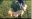 ScreenshotausVideo_2023-02-15-2.jpg