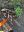 6D2C1E54-E4BF-4A72-99DB-20C9A3E84B68.jpeg