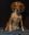 IMG_1401.jpeg