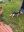IMG_2392_2023-11-12.jpeg