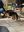 IMG_2486.jpeg