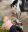IMG_2491.jpeg