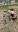 IMG_2550.jpeg