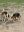 IMG_2589.jpeg