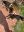 IMG_2641.jpeg
