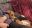 IMG_2709.jpeg