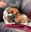 IMG_2715.jpeg