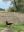 IMG_2725.jpeg