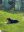 IMG_2744_2023-05-01.jpeg