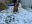 IMG_3128.jpeg