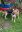 IMG_4635.jpeg