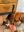 IMG_4657.jpeg